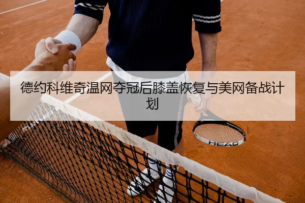 de-yue-ke-wei-qi-wen-wang-duo-guan-hou-xi-gai-hui-fu-yu-mei-wang-bei-zhan-ji-hua-2-121.jpg