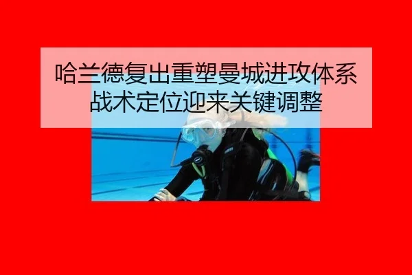 ha-lan-de-fu-chu-zhong-su-man-cheng-jin-gong-ti-xi-zhan-shu-ding-wei-ying-lai-guan-jian-tiao-zheng-3-487.jpg