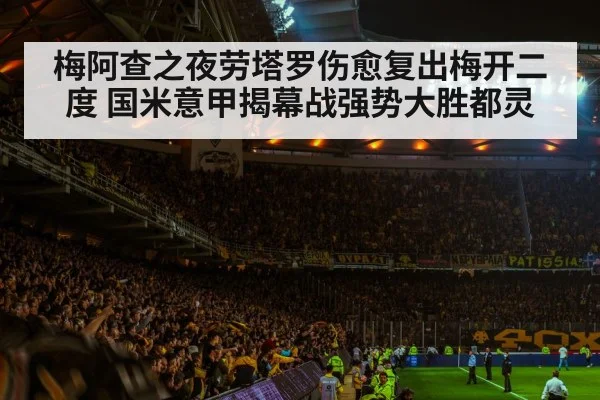 football stadium night crowd