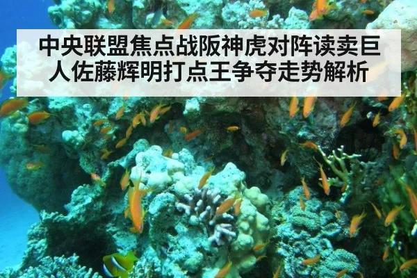 中央联盟焦点战阪神虎对阵读卖巨人佐藤辉明打点王争夺走势解析